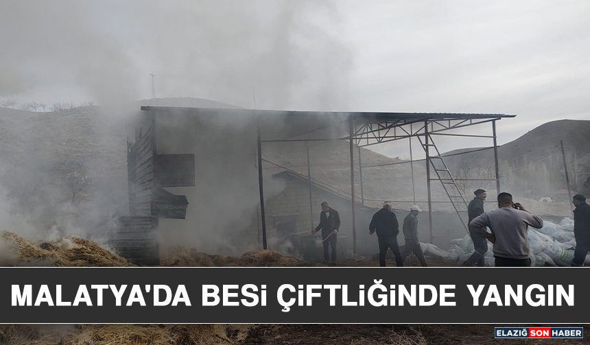 Malatya'da Besi Çiftliğinde Yangın