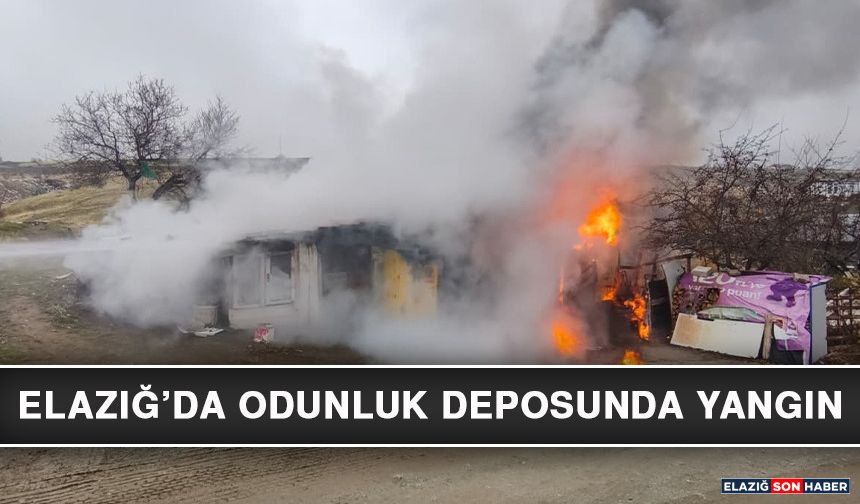 Elazığ’da Odunluk Deposunda Yangın