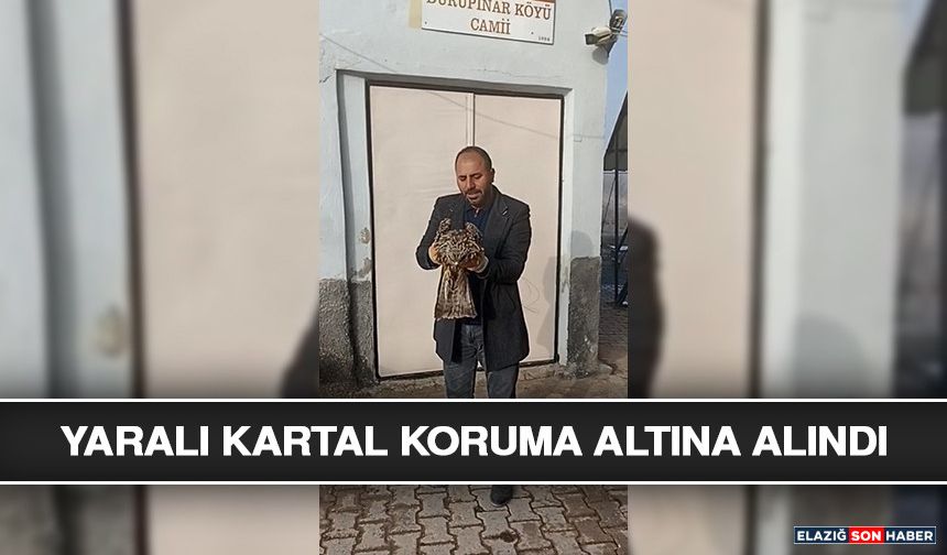 Yaralı Kartal Koruma Altına Alındı
