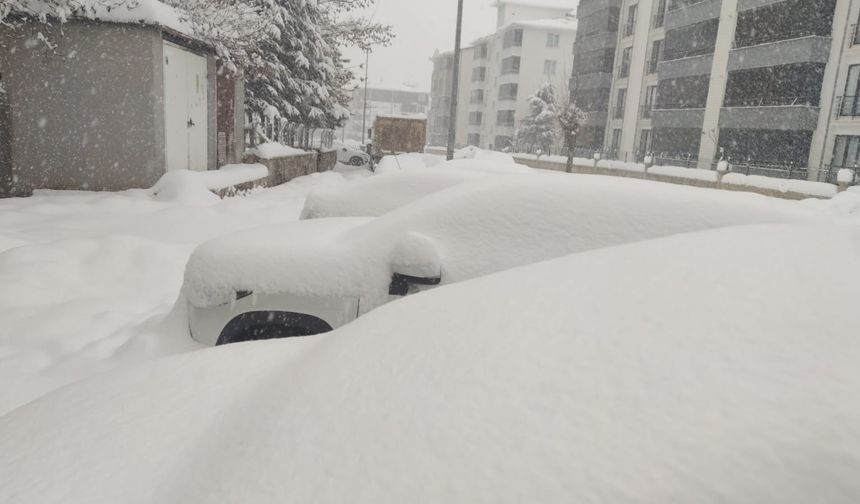 Bingöl'de kar yağışı aralıksız devam ediyor