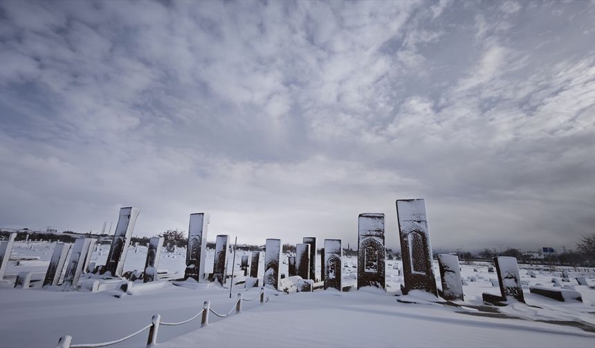 Bitlis'te tarihi yapılar karla kaplandı