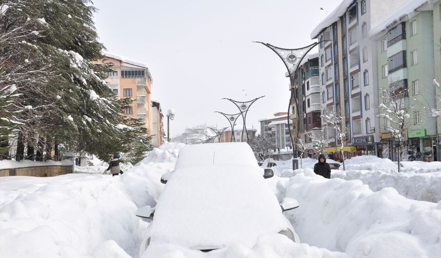 Bitlis'te yoğun yağış sonucu araçlar karla kaplandı