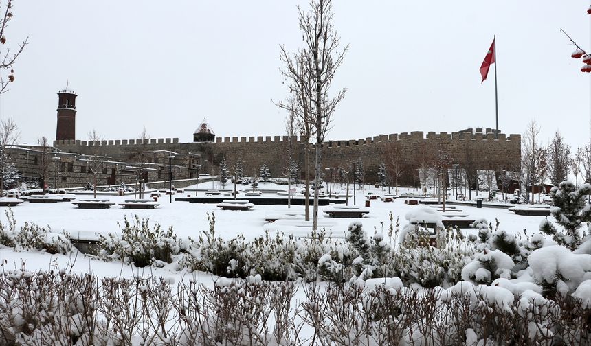 Erzurum, Kars, Ardahan ve Tunceli'de kar yağışı etkili oluyor
