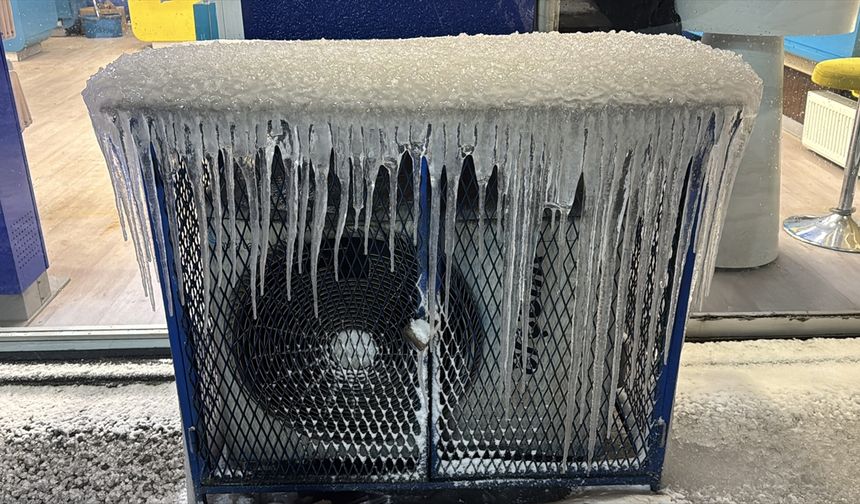 Erzurum'da kar yağışı ve soğuk hava etkili oluyor