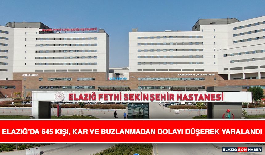 Elazığ’da 645 Kişi, Kar ve Buzlanmadan Dolayı Düşerek Yaralandı