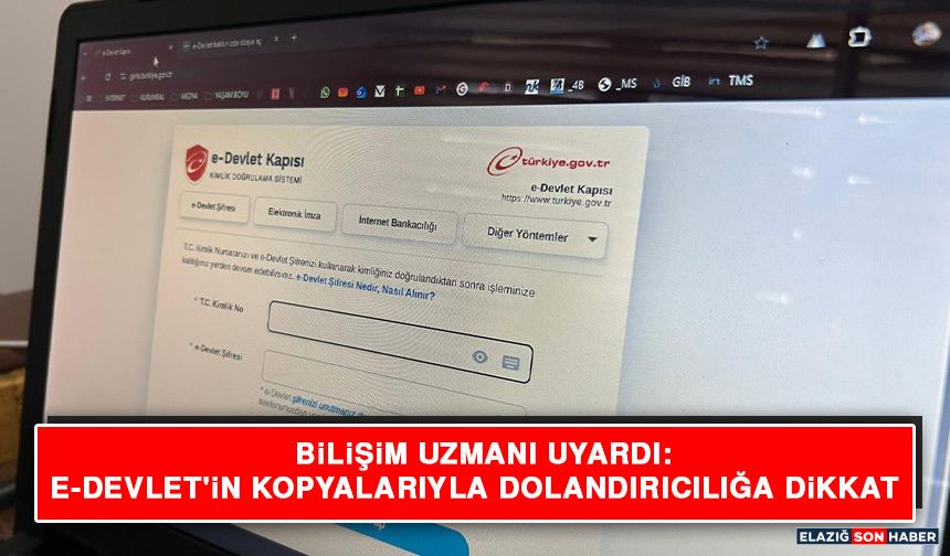 Bilişim Uzmanı Uyardı: E-Devlet'in Kopyalarıyla Dolandırıcılığa Dikkat