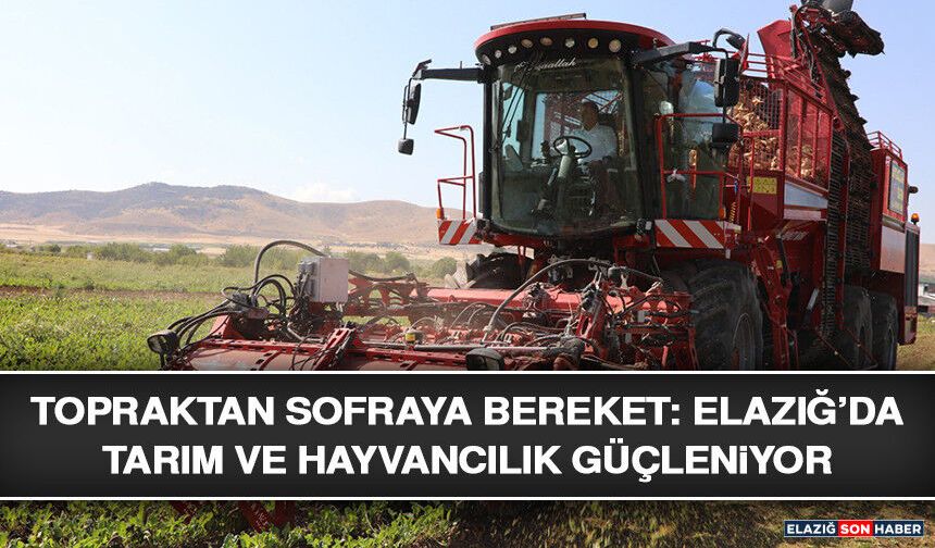 Topraktan Sofraya Bereket: Elazığ’da Tarım Ve Hayvancılık Güçleniyor