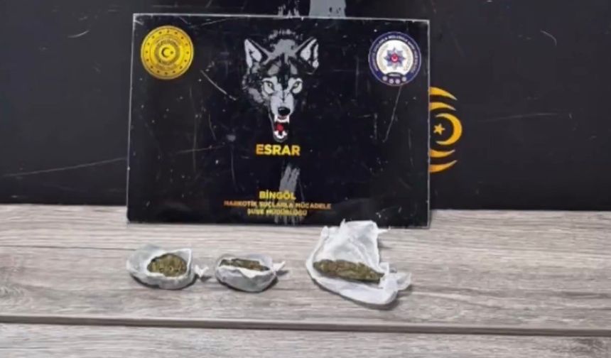 Bingöl'de uyuşturucu operasyonu: 1 tutuklama