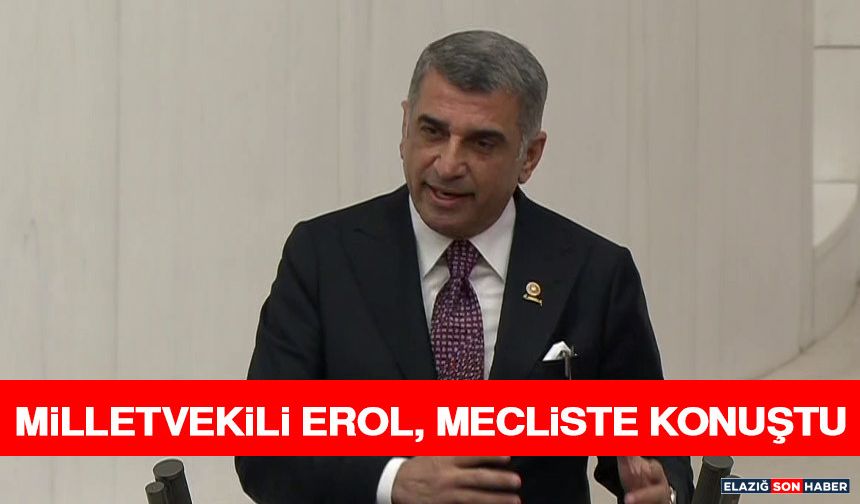 Milletvekili Erol, Mecliste Konuştu