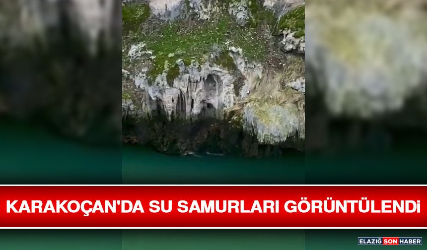 Karakoçan'da Su Samurları Görüntülendi