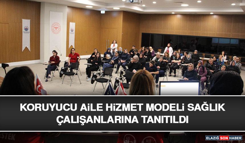 Koruyucu Aile Hizmet Modeli Sağlık Çalışanlarına Tanıtıldı