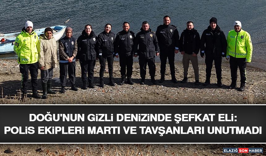 Doğu'nun Gizli Denizinde Şefkat Eli: Polis Ekipleri Martı ve Tavşanları Unutmadı