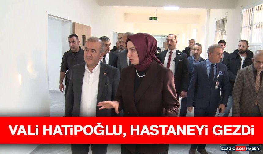 Vali Hatipoğlu, Hastaneyi Gezdi