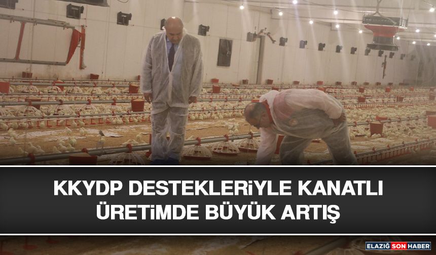 KKYDP Destekleriyle Kanatlı Üretimde Büyük Artış
