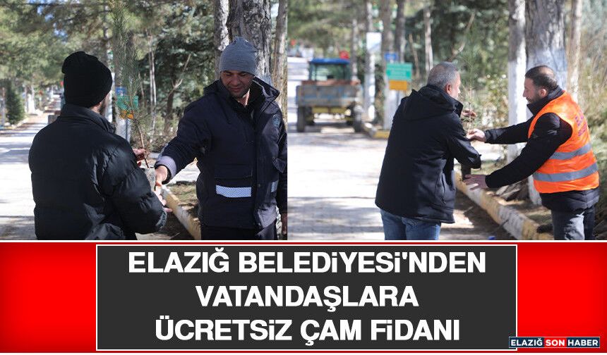 Elazığ Belediyesi'nden Vatandaşlara Ücretsiz Çam Fidanı