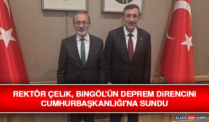 Rektör Çelik, Bingöl'ün Deprem Direncini Cumhurbaşkanlığı'na Sundu