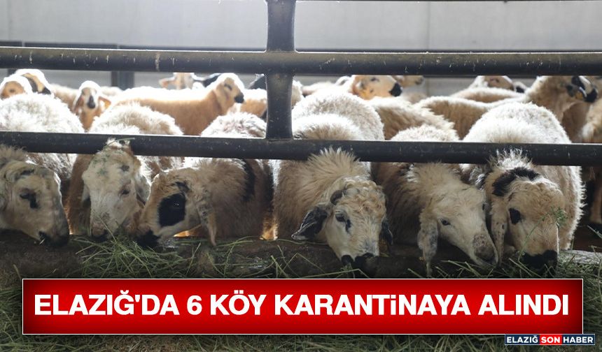 Elazığ'da 6 Köy Karantinaya Alındı