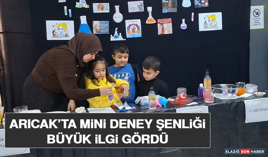 Arıcak’ta Mini Deney Şenliği Büyük İlgi Gördü