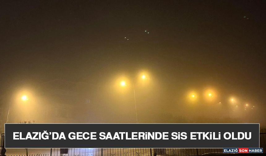 Elazığ’da Gece Saatlerinde Sis Etkili Oldu