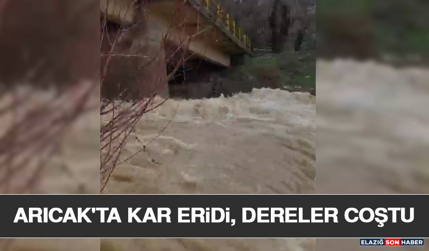 Arıcak'ta Kar Eridi, Dereler Coştu