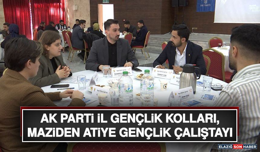 AK Parti İl Gençlik Kolları, Maziden Atiye Gençlik Çalıştayı