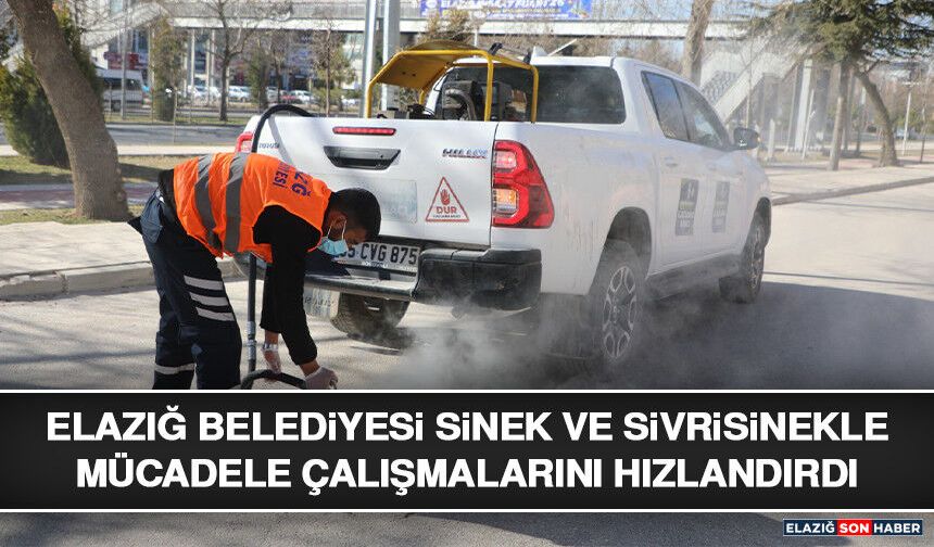 Elazığ Belediyesi Sinek ve Sivrisinekle Mücadele Çalışmalarını Hızlandırdı
