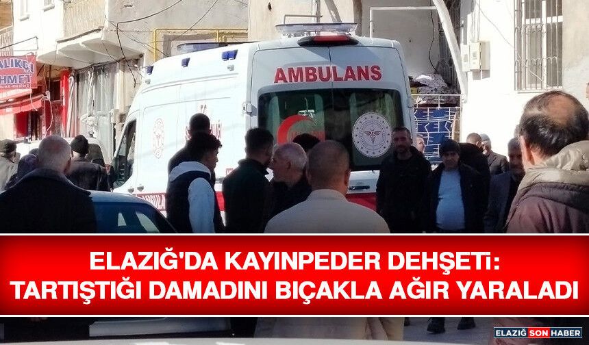 Elazığ'da Kayınpeder Dehşeti: Tartıştığı Damadını Bıçakla Ağır Yaraladı