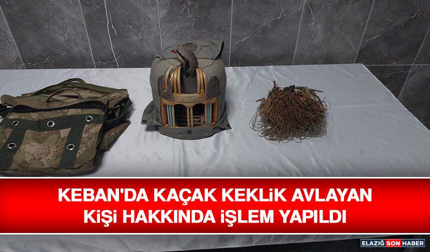 Keban'da Kaçak Keklik Avlayan Kişi Hakkında İşlem Yapıldı