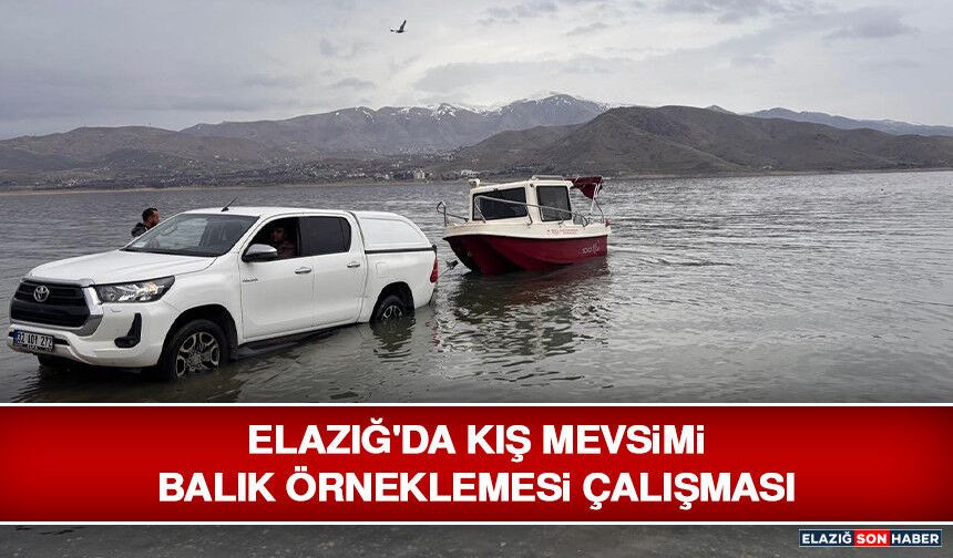 Elazığ'da Kış Mevsimi Balık Örneklemesi Çalışması