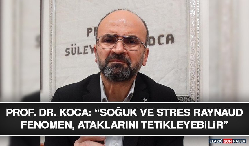 Prof. Dr. Koca: “Soğuk ve Stres Raynaud Fenomeni Ataklarını Tetikleyebilir”