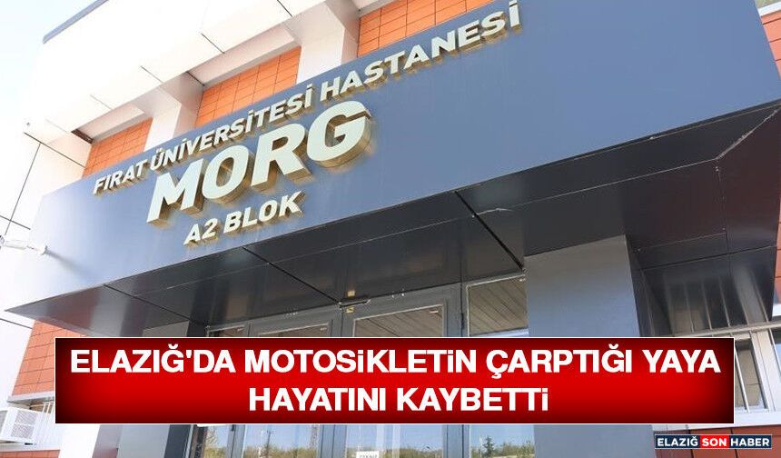 Elazığ'da Motosikletin Çarptığı Yaya Hayatını Kaybetti