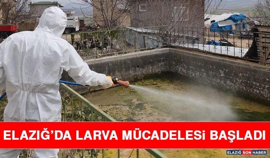 Elazığ’da Larva Mücadelesi Başladı