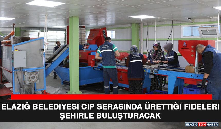 Elazığ Belediyesi Cip Serasında Ürettiği Fideleri Şehirle Buluşturacak