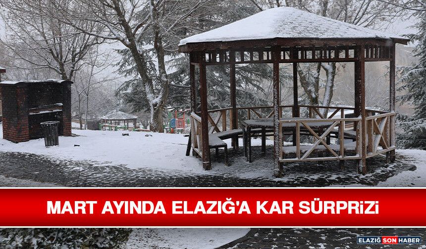 Mart Ayında Elazığ'a Kar Sürprizi