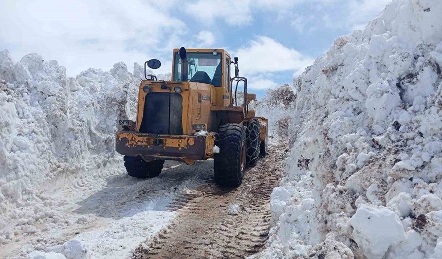 Bingöl'de metrelerce karla mücadele
