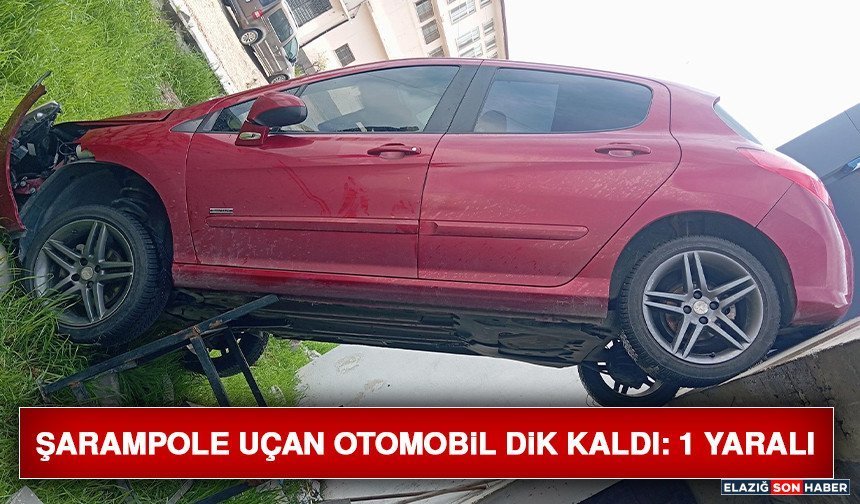 Şarampole Uçan Otomobil Dik Kaldı: 1 Yaralı