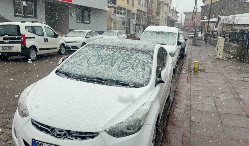 Karlıova'da nisan karı etkili oldu