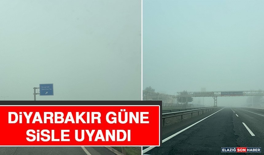 Diyarbakır Güne Sisle Uyandı