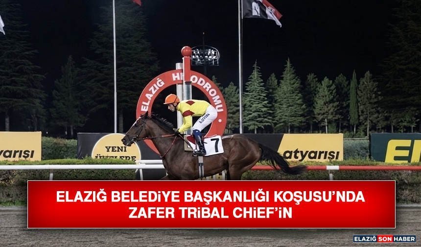 Elazığ Belediye Başkanlığı Koşusu’nda Zafer Tribal Chief’in