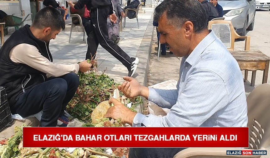 Elazığ'da Bahar Otları Tezgahlarda Yerini Aldı