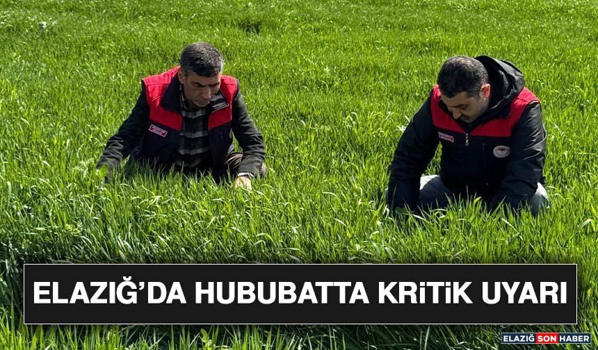 Elazığ’da Hububatta Kritik Uyarı