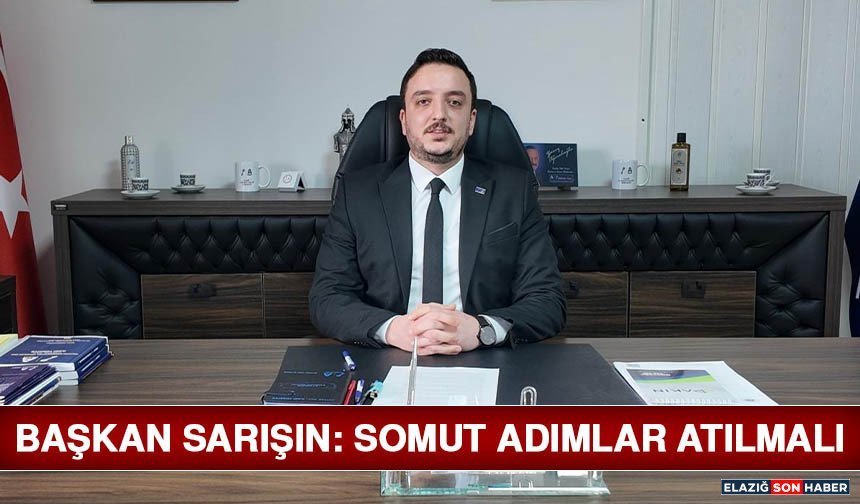 Başkan Sarışın: Somut Adımlar Atılmalı