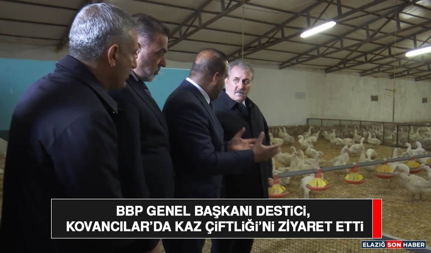BBP Genel Başkanı Destici, Kovancılar’da Kaz Çiftliği’ni Ziyaret Etti