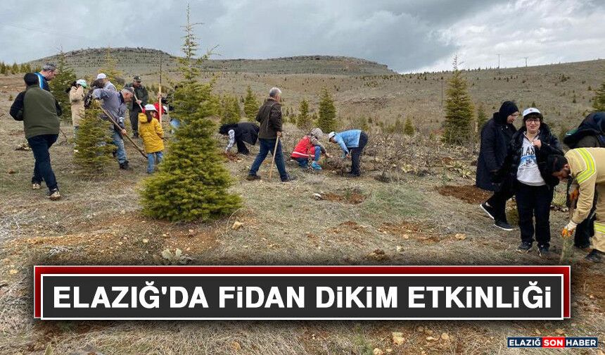 Elazığ'da Fidan Dikim Etkinliği