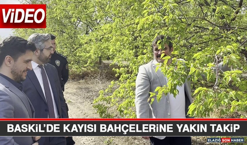 Baskil’de Kayısı Bahçelerine Yakın Takip