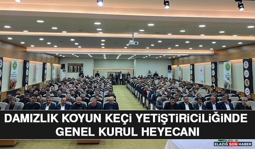 Damızlık Koyun Keçi Yetiştiriciliğinde Genel Kurul Heyecanı