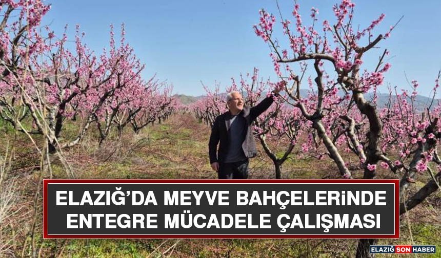 Elazığ’da Meyve Bahçelerinde Entegre Mücadele Çalışması