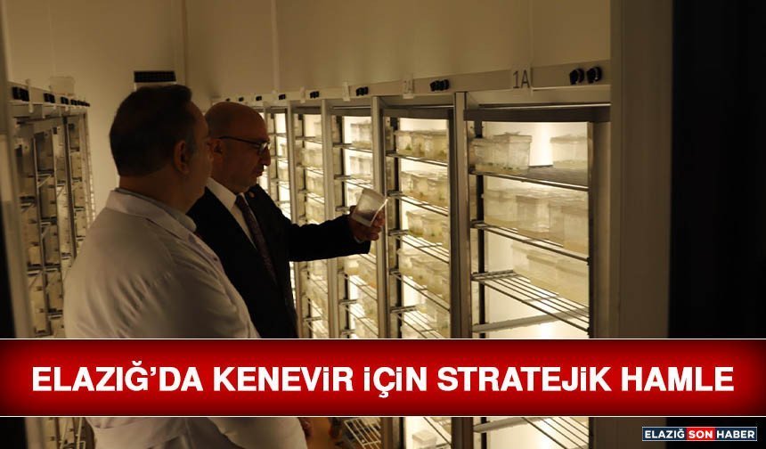 Elazığ’da Kenevir İçin Stratejik Hamle