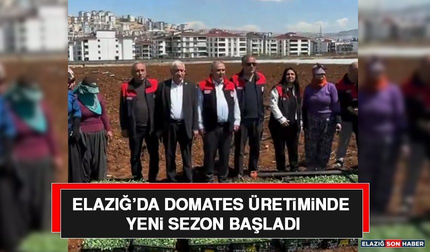 Elazığ’da Domates Üretiminde Yeni Sezon Başladı
