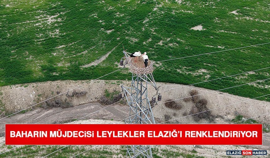 Baharın Müjdecisi Leylekler Elazığ’ı Renklendiriyor